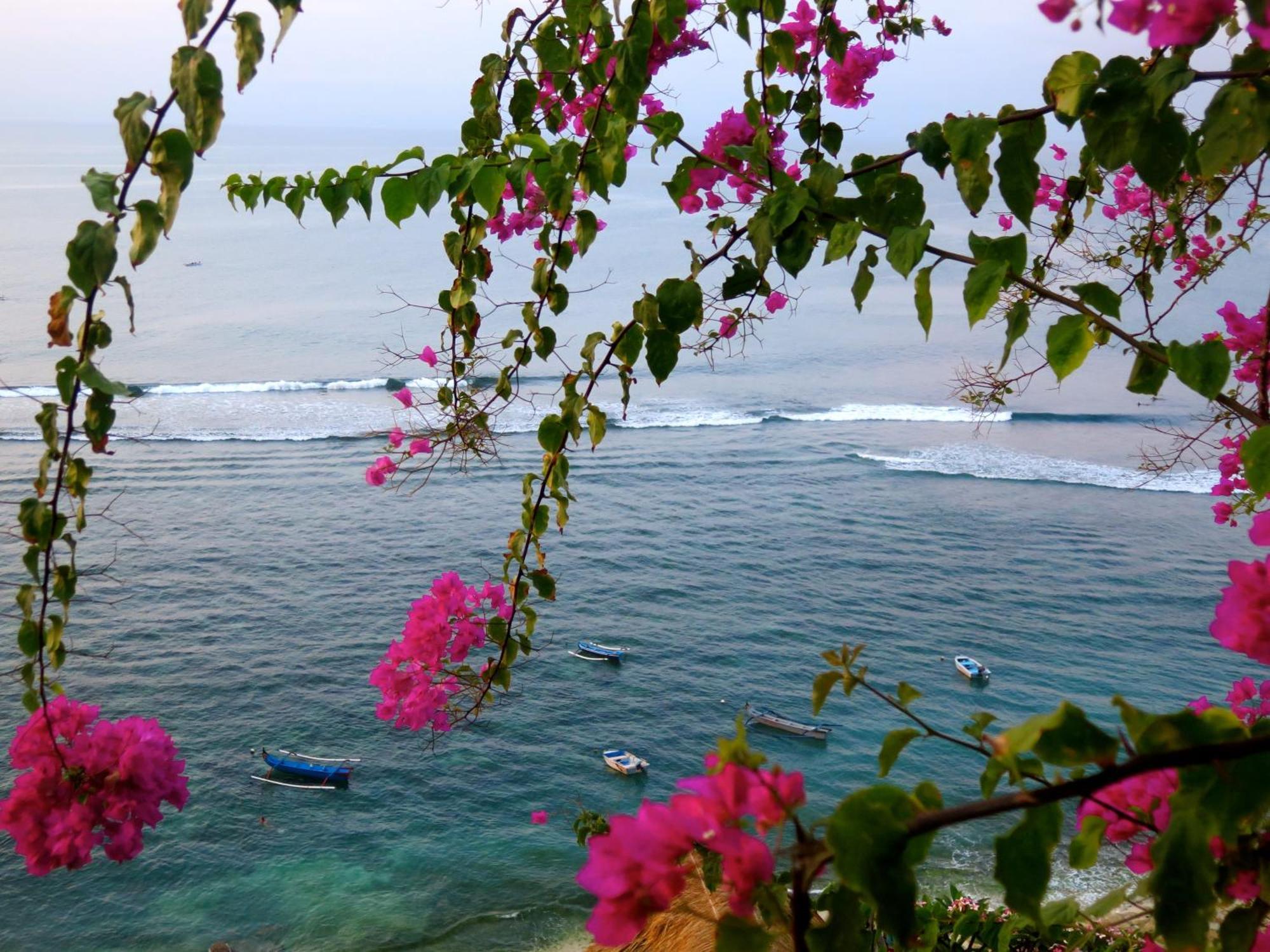 Acacia Bungalows Bingin Uluwatu Exteriér fotografie